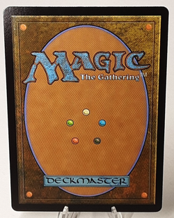 MTG - Bloomburrow - Lifecreed Duo - #0020 - Playset x4 - Near Mint - Image 3