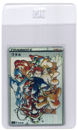 CustomMade Pokemon Trainer card PTL333 READ DESCRIPTION - Image 1