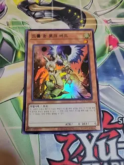 Yugioh - Droll & Lock Bird - PAC1-KR026 - Super Rare - Korean - Image 1