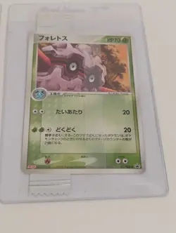Pokemon Japanese Sealed Forretress/Sceptile Meiji Chocolate Promo Cards - Image 2