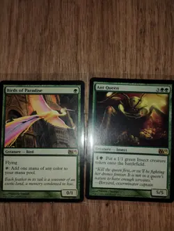 MTG Lot - 36 Cards NM/LP/MP incl. Birds of Paradise & Coat of Arms - Image 4