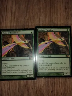 MTG Lot - 36 Cards NM/LP/MP incl. Birds of Paradise & Coat of Arms - Image 5