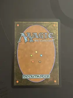 Forest Showcase 281/281 Dominaria United DMU MTG NM - Image 2