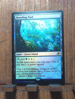 MTG🌳🌊 Breeding Pool ( FOIL ) EDGE OF ETERNITIES Near Mint PACK FRESH💕❤ - Image 2
