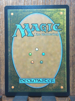 MTG🌳🌊 Breeding Pool ( FOIL ) EDGE OF ETERNITIES Near Mint PACK FRESH💕❤ - Image 3