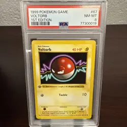 1999 Pokemon First Edition Base Set 67/102 Voltorb PSA 8 NM-MT - Image 1