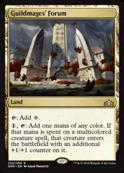 Guildmages' Forum Light Play, English Magic the Gathering MTG Guilds of Ravnica - Image 1
