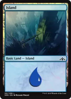 Island (261) Light Play, English Magic the Gathering MTG Guilds of Ravnica - Image 1
