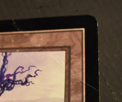 10 Oversized Basic Lands - Arena Promos - 1997 - MTG - Image 4