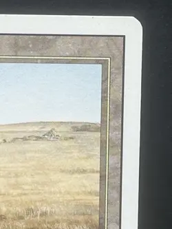 MTG x1 Savannah Dual Land Revised Rare (LP) - Image 4