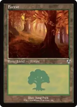 10 pcs Forest (296) - Retro FOIL - MtG Innistrad Remastered - NM - Image 1