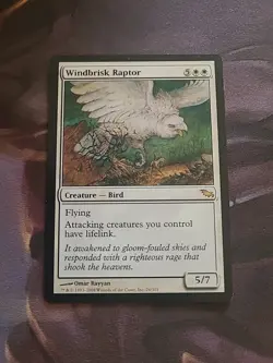 Windbrisk Raptor - Image 1