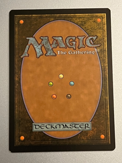 MTG Windswept Heath (Foil) - Zendikar Expeditions #20 - Image 2