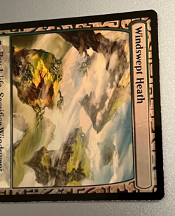 MTG Windswept Heath (Foil) - Zendikar Expeditions #20 - Image 4