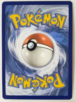 HOLO Houndoom TG10/TG30 NM / M Brilliant Stars Trainer Gallery Pokemon Card - Image 2
