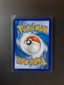 Furfrou 114/146 - Alternate Holo Pattern Promo NM/LP Promo Pokemon card - Image 2