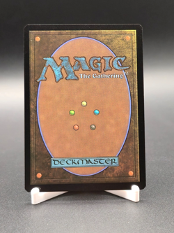 Multiversal Passage MTG Marvel's Spider-Man Borderless Rare #206 NM+ - Image 2