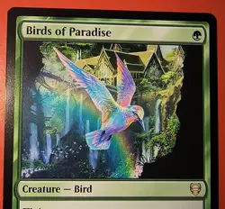 MTG, MAGIC: BIRDS OF PARADISE , LTC, RARE #0235 , REGULAR FINISH - Image 2