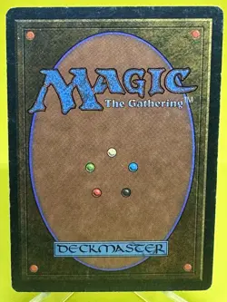 Merchant Scroll - Homelands - Magic the Gathering - MTG - Image 2