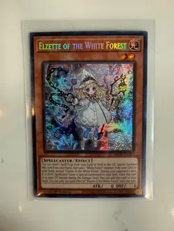 Yugioh Collector's Bundle - Blue Eyes, Dark Magician, Selling Yugioh Collection - Image 5