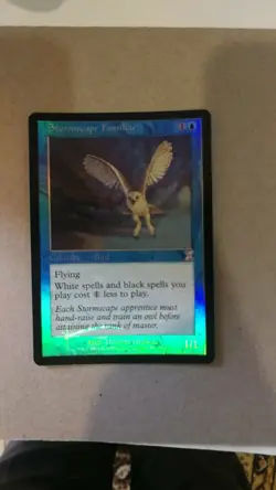 MTG - STORMSCAPE FAMILIAR - FOIL - TIMESHIFTED NM - Image 1