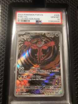 Pokemon 2023 Par En-Paradox Rift Yveltal Illustration Rare Card #205/182 PSA 10 - Image 1