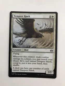 Tempest Hawk MTG Magic the Gathering Card NM Near Mint TDM - Image 1