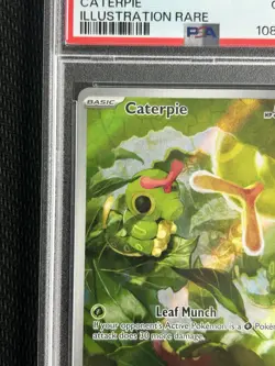 2023 Caterpie #172 Illustration Rare Scarlet & Violet 151 MEW Pokemon PSA 10 - Image 3