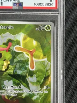 2023 Caterpie #172 Illustration Rare Scarlet & Violet 151 MEW Pokemon PSA 10 - Image 4