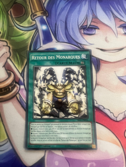 RETURN OF THE MONARCHS FRENCH COMMON SR01-EN026 FR026 NEAR MINT YUGIOH - Image 1