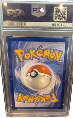 PSA 10 GEM MINT Rainbow Charizard VMAX Pokemon Champion Path Secret Rare 074/073 - Image 3