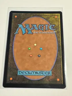 Plains (Showcase) - Dominaria United (DMU) FOIL NM MTG - Image 2