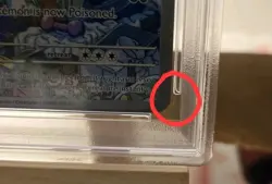 Pokemon Paradox Rift Garbodor 204 PSA 10 (PLEASE READ DESCRIPTION) - Image 4