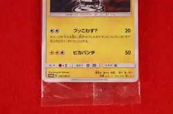 *Sealed!!* Pokemon Card Pretend Boss Pikachu Team Skull 197/SM-P Promo #7848 - Image 3