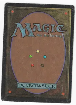 ►Magic-Style◄ MTG - Fastbond - French Revised FBB - Played - Image 2