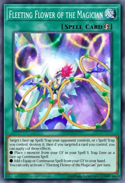 DOOD-EN089 - Fleeting Flower of the Magician Common YuGiOh 1st Ed - Image 1