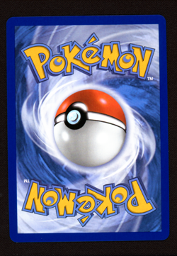 Houndstone 145/132 Illustration Rare - Pokemon Mega Evolution Base Set - LP - Image 2