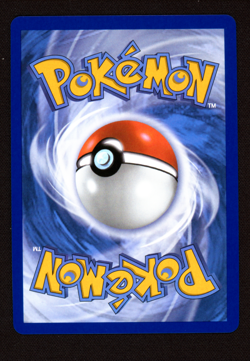 Houndstone 145/132 Illustration Rare - Pokemon Mega Evolution Base Set - NM - Image 2