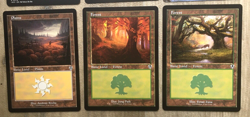 MAGIC THE GATHERING CARDS LOT x6 INNISTRAD REMASTERED SERIES INC RARE LAND MTG - Image 4