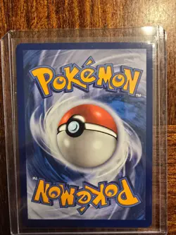 Shuckle Illustration Rare 136/132 Pokemon Mega Evolution - Image 2
