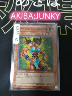 Amazoness Fighter Yugioh 303-006 Yu-Gi-Oh Konami OCG JAPAN - Image 4