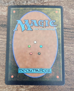 Canopy Dragon - Rare ~ Mirage ~ MTG Magic: The Gathering - NM - Image 2