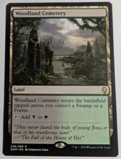 Woodland Cemetery x1 Dominaria Magic the Gathering MTG LP/NM - Image 1