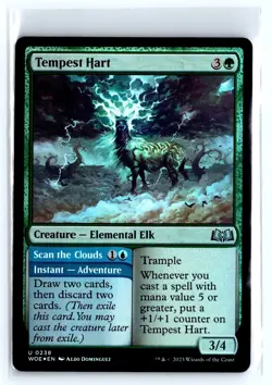 FOIL Tempest Hart Wilds of Eldraine - MTG Magic the Gathering Card - Image 1