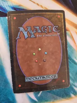 Tundra Revised Edition Mtg - Image 2