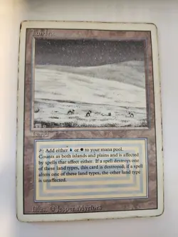 Tundra Revised Edition Mtg - Image 3