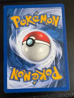 Phanpy 62/109 Common - ex Ruby & Sapphire Pokemon Card - LP/NM - Image 2