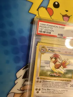 PSA 10 Gem Mint Pidgeotto 22/102 Base Set 1st Edition Shadowless Pokemon ENGLISH - Image 3