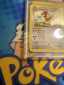 PSA 10 Gem Mint Pidgeotto 22/102 Base Set 1st Edition Shadowless Pokemon ENGLISH - Image 4