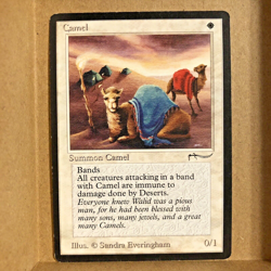 MTG ~ Camel ~ ARB Arabian Nights ~ 1993 English ~ Summon Camel ~ Common ~ MP - Image 1